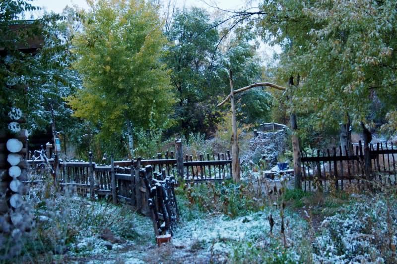 Taos Goji Farm & Eco-Lodge Retreat Arroyo Seco المظهر الخارجي الصورة